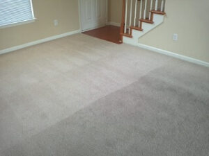 everclean carpet cleaning results near nashville