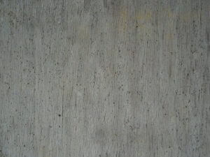 mold on wood subfloor possibly caused by heavy steam carpet cleaning.