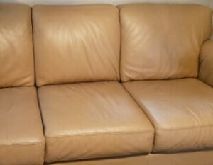 everclean leather sofa cleaning nashville tn