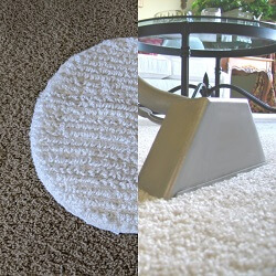 steamdry carpet cleaning in Nashville tn