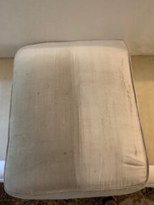 upholstery cleaning nashville cushion