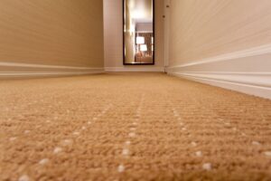 The value of getting my carpet cleaned