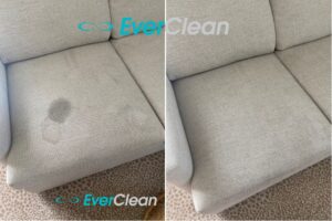 sofa stain removal nashville tn