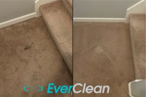 carpet stain removal nashville tn