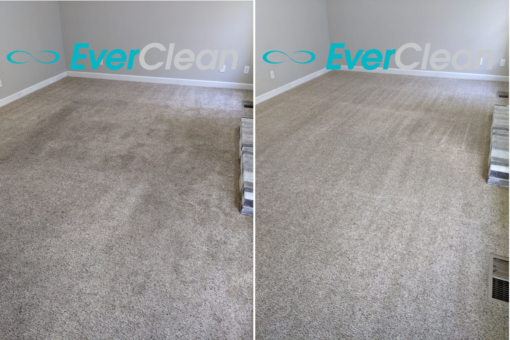 Carpet Cleaning Bellevue TN EverClean Nashville