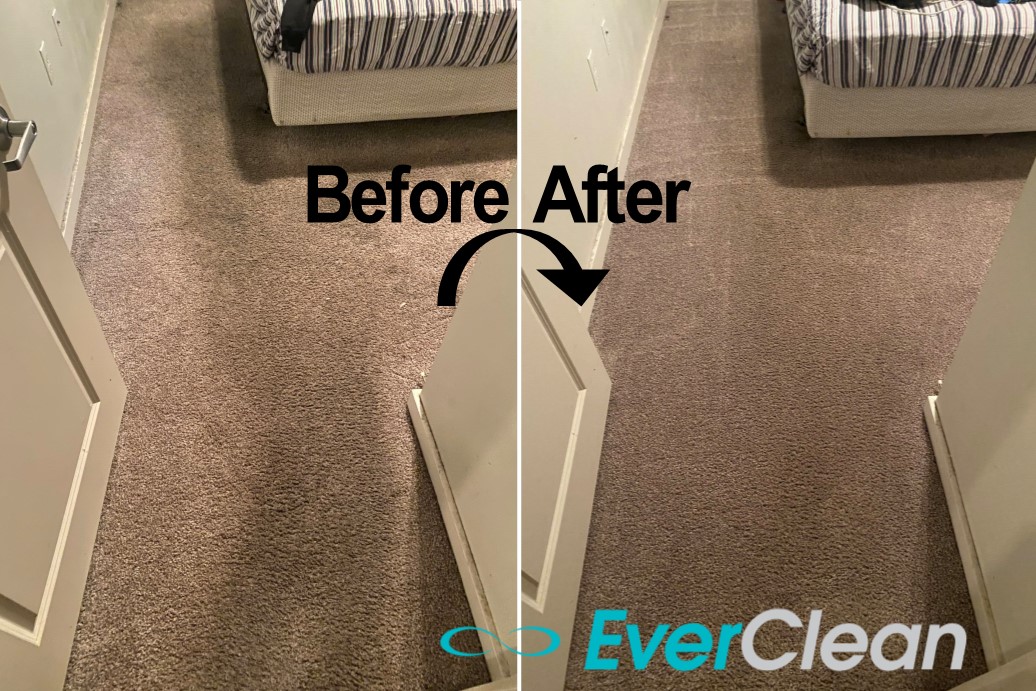 Carpet Cleaning Hendersonville Tn