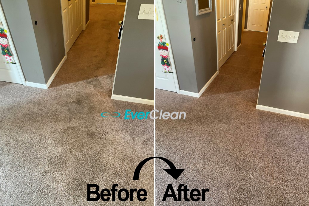 Carpet Cleaning Nashville Tn