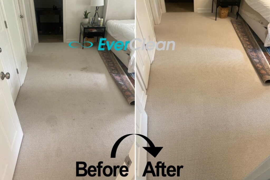 Carpet Cleaning Nashville TN EverClean Nashville