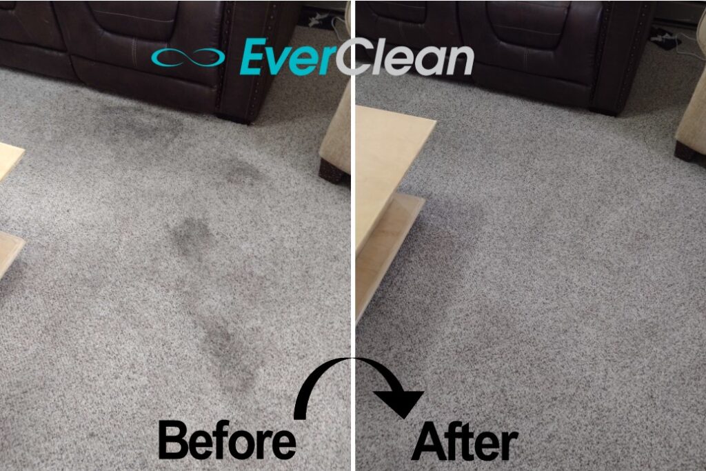 Carpet Cleaning Nashville TN EverClean Nashville