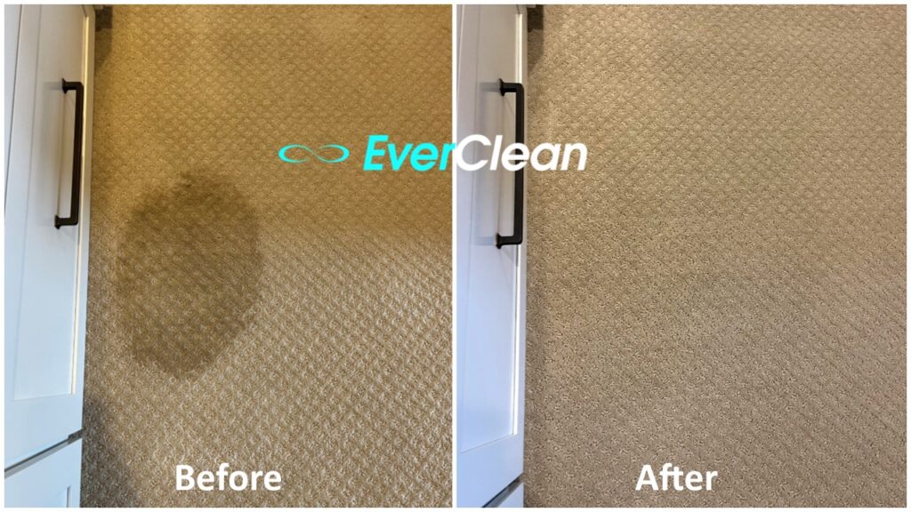 EverClean Nashville removed den carpet stain in Nashville A before and after picture of Nashville carpet stain removal of dark coffee on den carpet