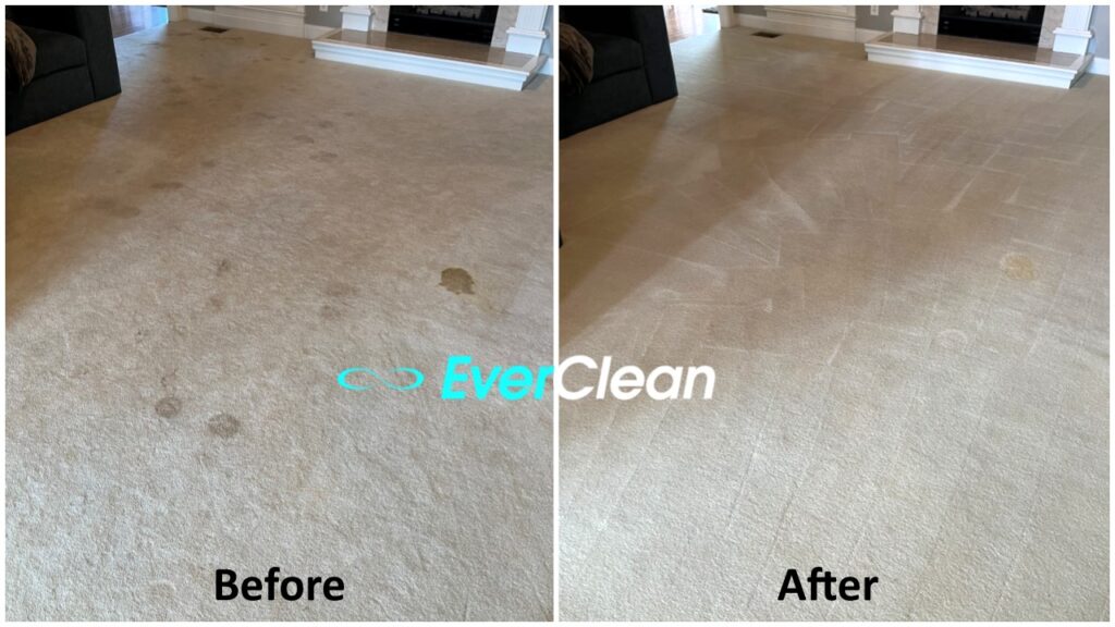 sanivive carpet cleaning method nashville tn