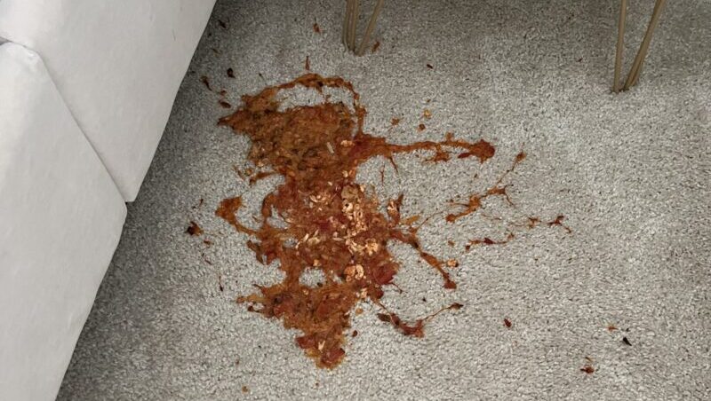 large red carpet stain in bedroom